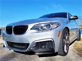 BMW F22 F23 Carbon Fiber Front Splitters