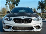 BMW F20 F22 F87 M2 GTS Style Carbon Fiber Hood