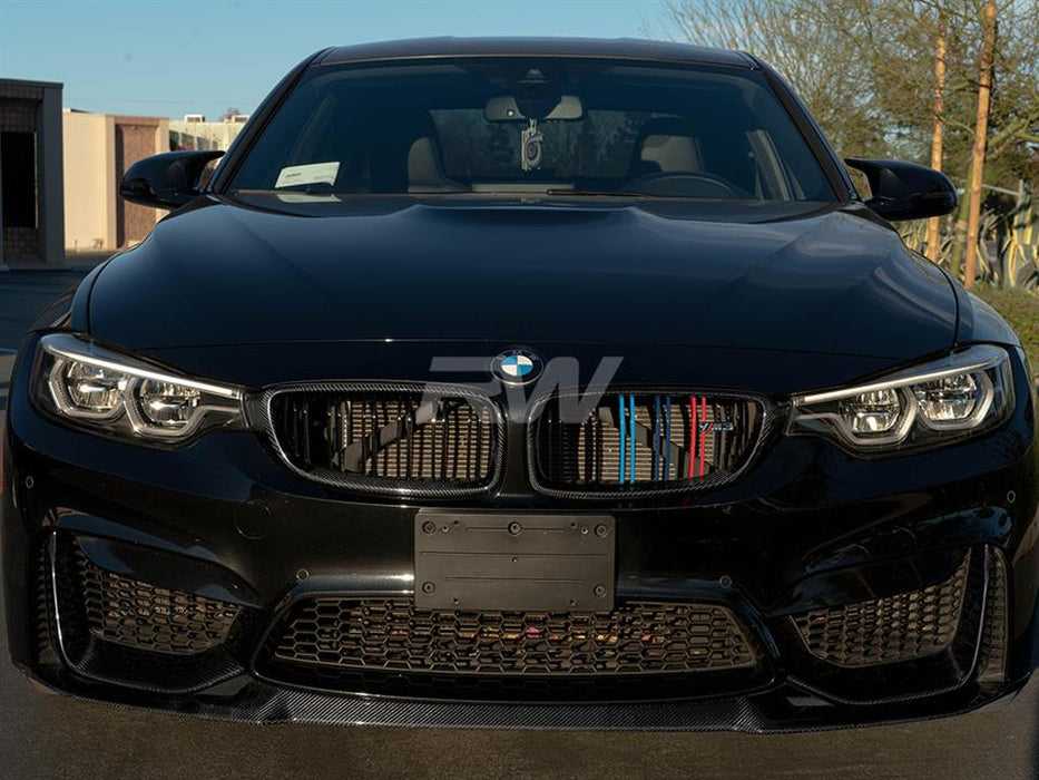 BMW F32 F33 F36 F80 F82 Carbon Fiber Grilles