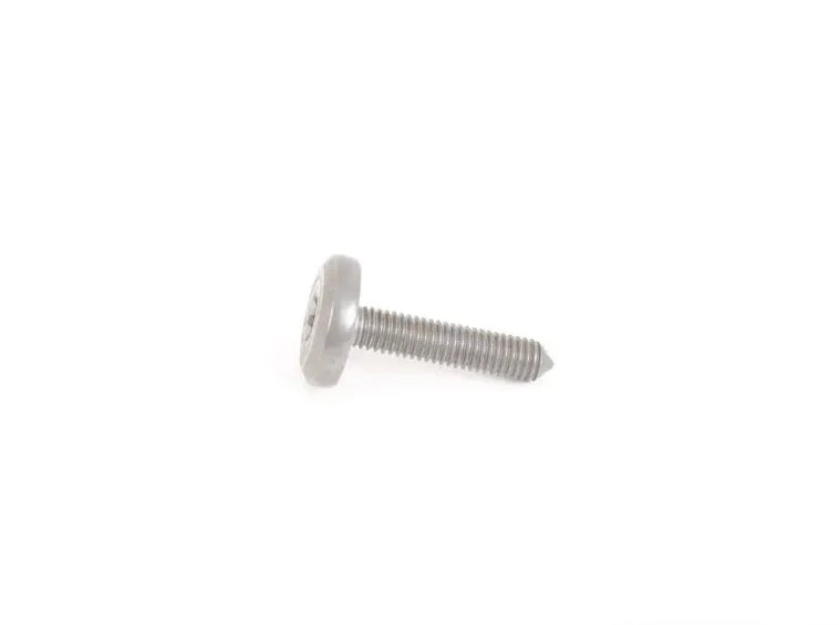 Torx Screw - Priced Each - 24117552108KT