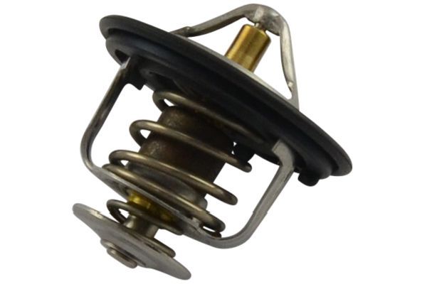 Thermostat Assembly - 19301PZA305